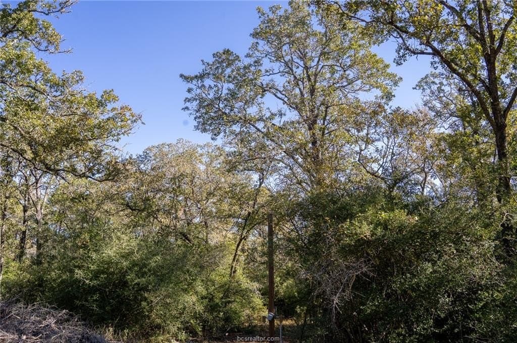 1 acres in Robertson County - photo 23