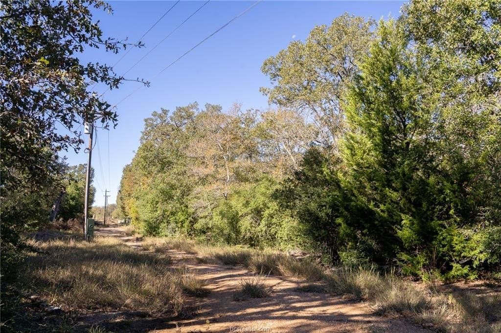 1 acres in Robertson County - photo 25