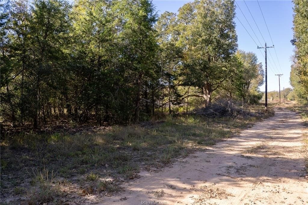 1 acres in Robertson County - photo 19