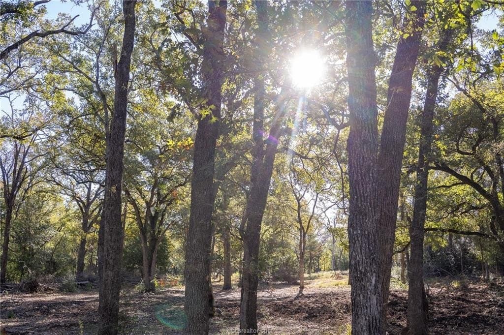 1 acres in Robertson County - photo 15