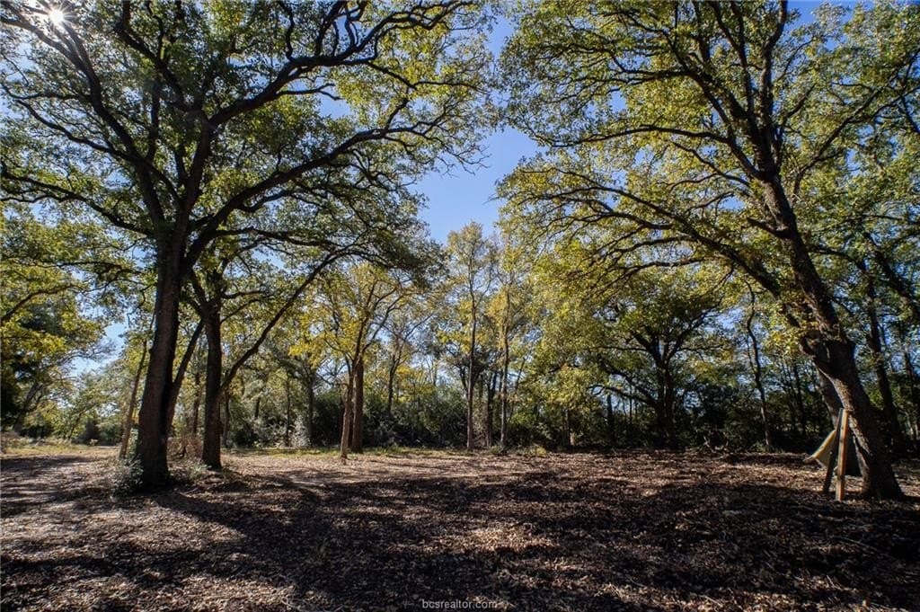 1 acres in Robertson County - photo 11