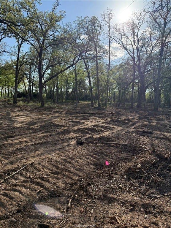 1 acres in Robertson County - photo 31