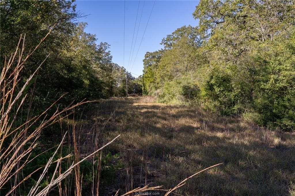 1 acres in Robertson County - photo 26