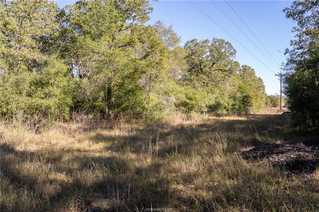 1 acres in Robertson County - photo 24