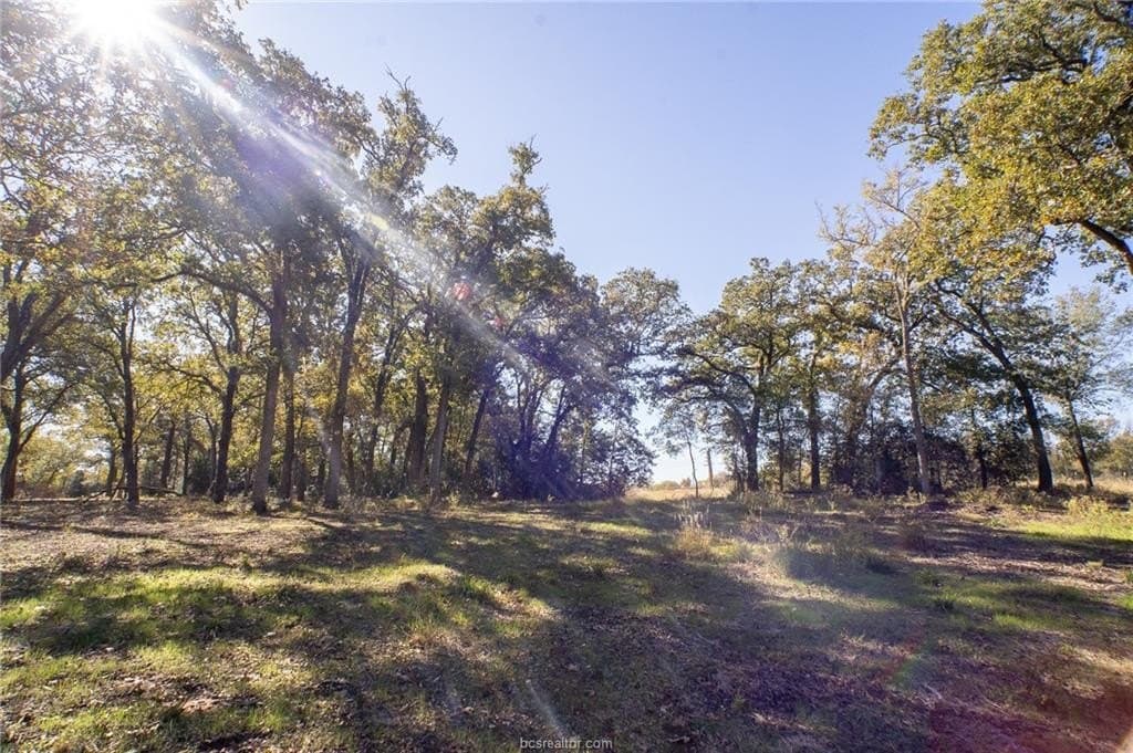 1 acres in Robertson County - photo 13