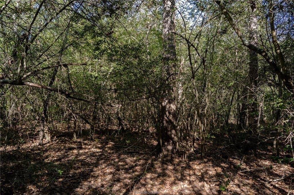 1 acres in Robertson County featured view