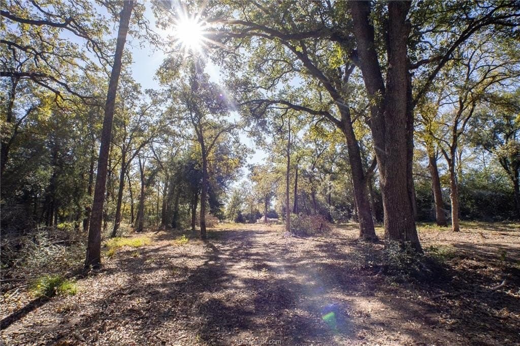 1 acres in Robertson County - photo 12