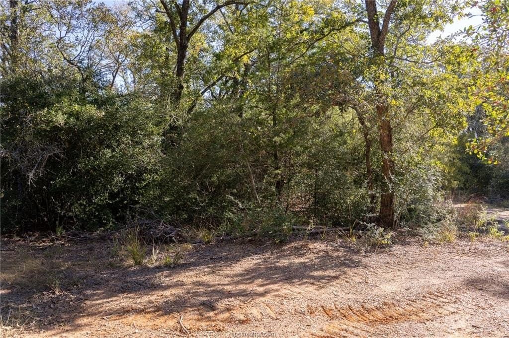 1 acres in Robertson County - photo 21