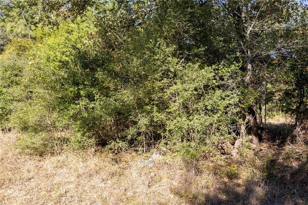 1 acres in Robertson County - photo 18