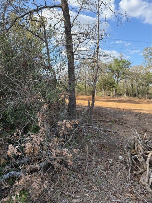 1 acres in Robertson County - photo 35