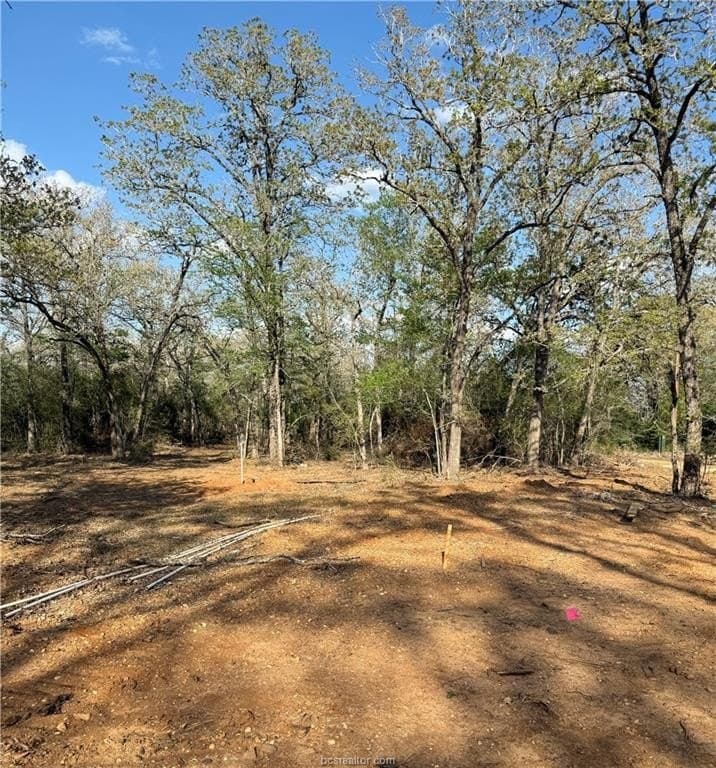 1 acres in Robertson County - photo 30