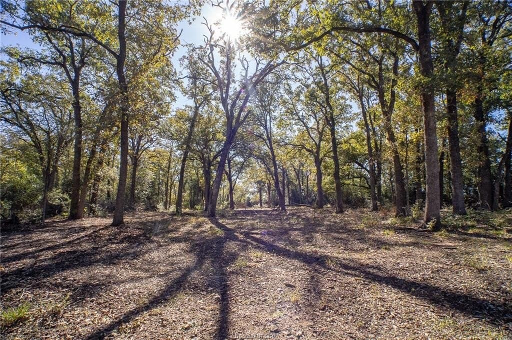 1 acres in Robertson County - photo 14