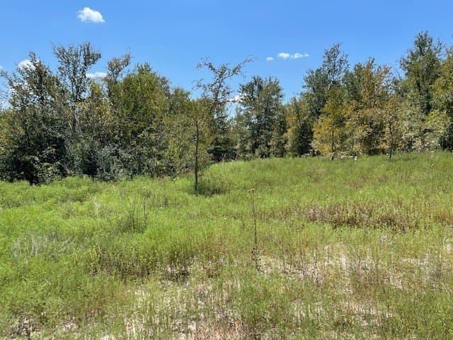 2.22 acres in Parker County - photo 4