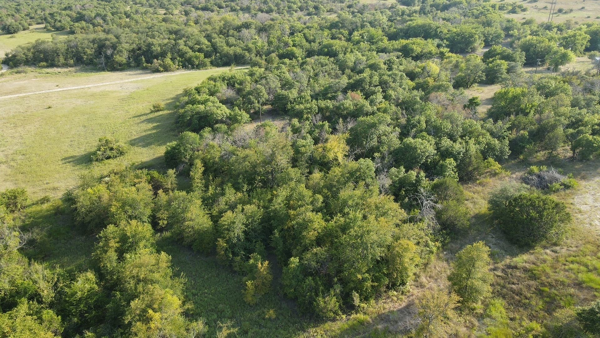 2.22 acres in Parker County - photo 5