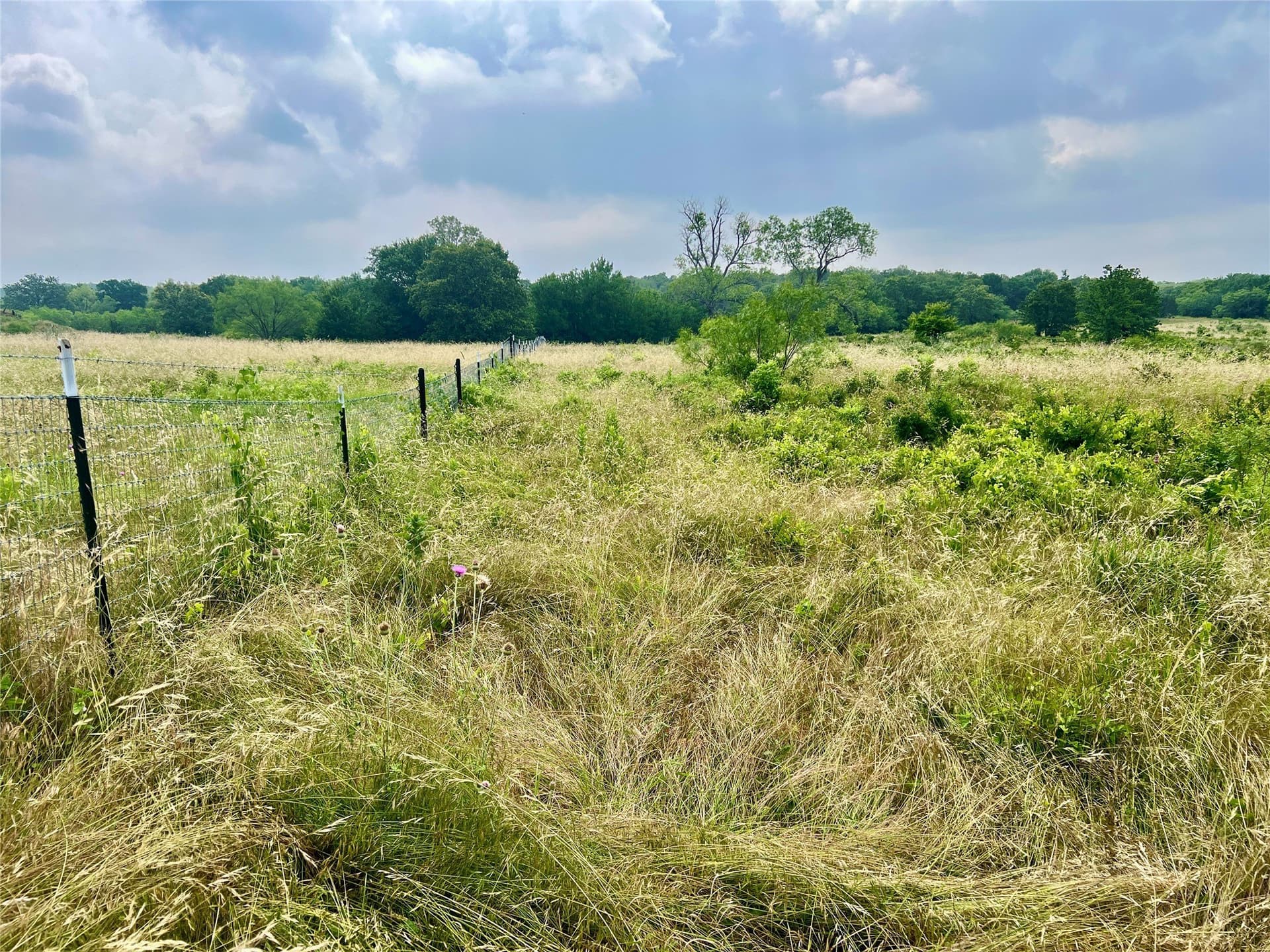 13.97 acres in Young County - photo 15