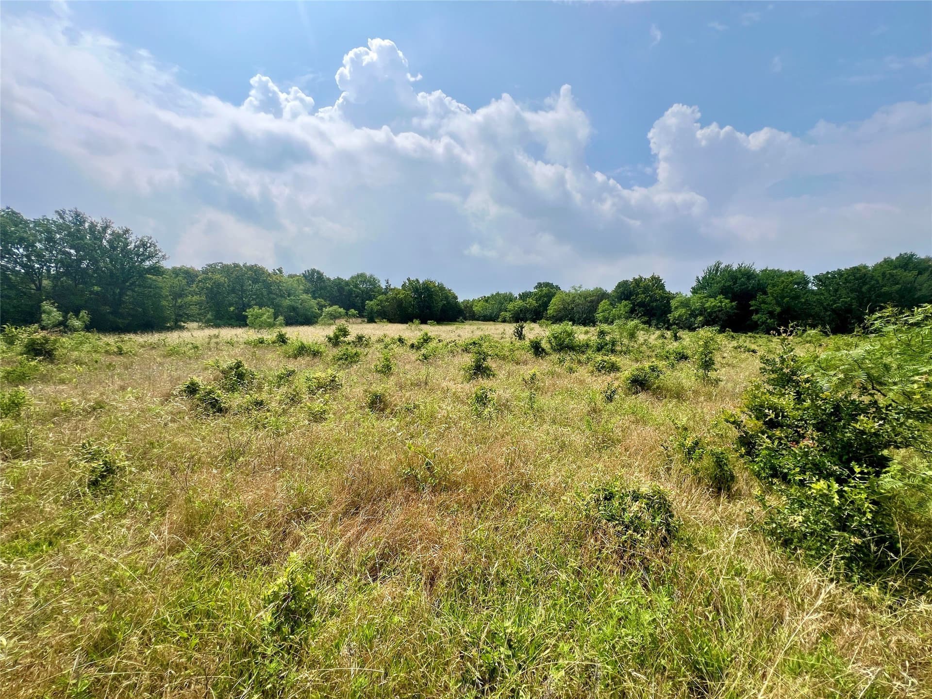 13.97 acres in Young County gallery image 3