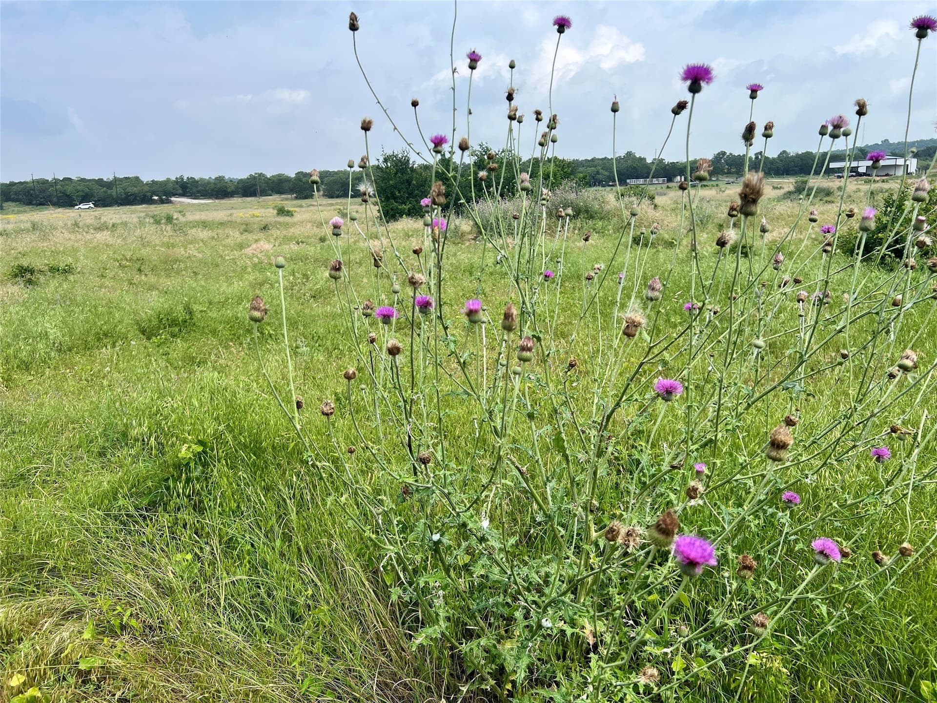 13.97 acres in Young County - photo 29