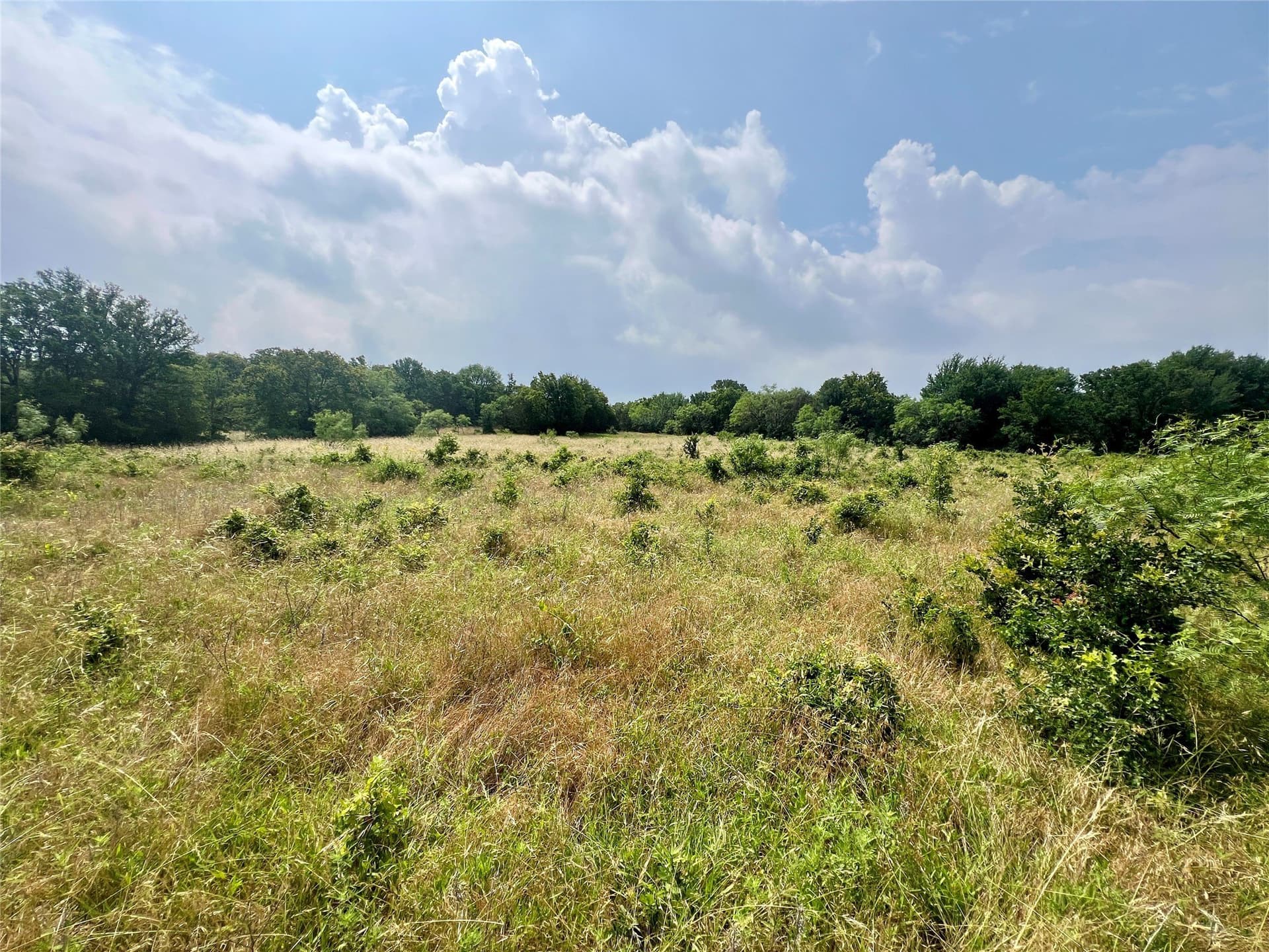13.97 acres in Young County - photo 23