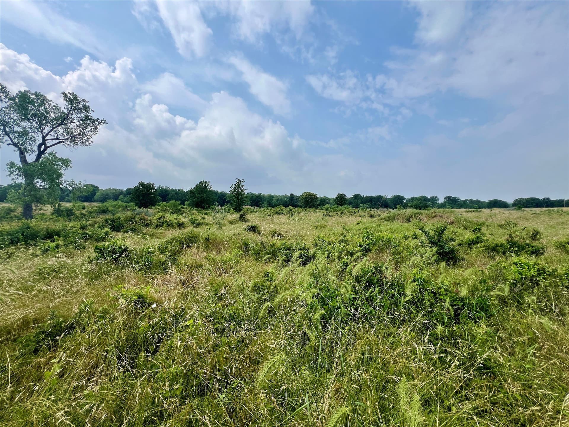 13.97 acres in Young County - photo 20