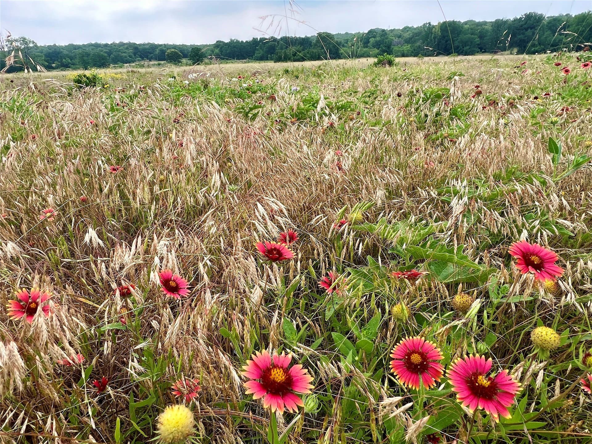 13.97 acres in Young County - photo 9
