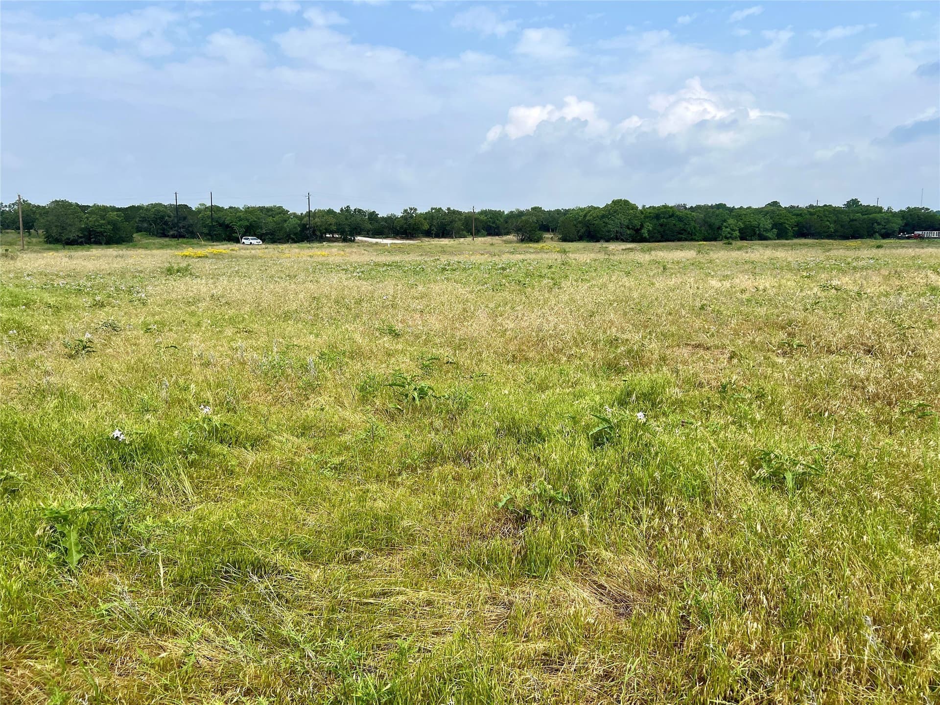 13.97 acres in Young County - photo 33