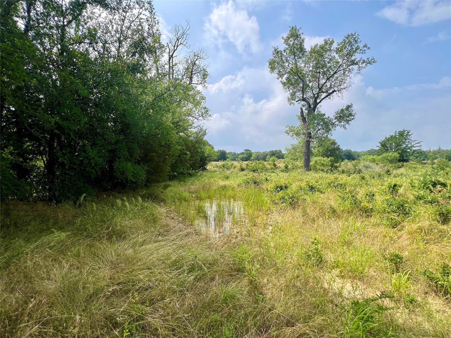 13.97 acres in Young County - photo 22
