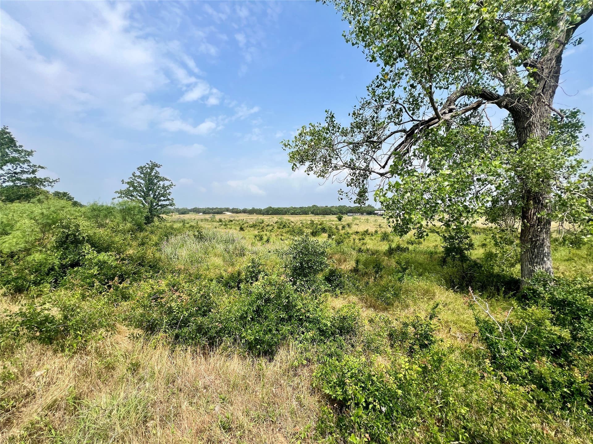 13.97 acres in Young County - photo 14
