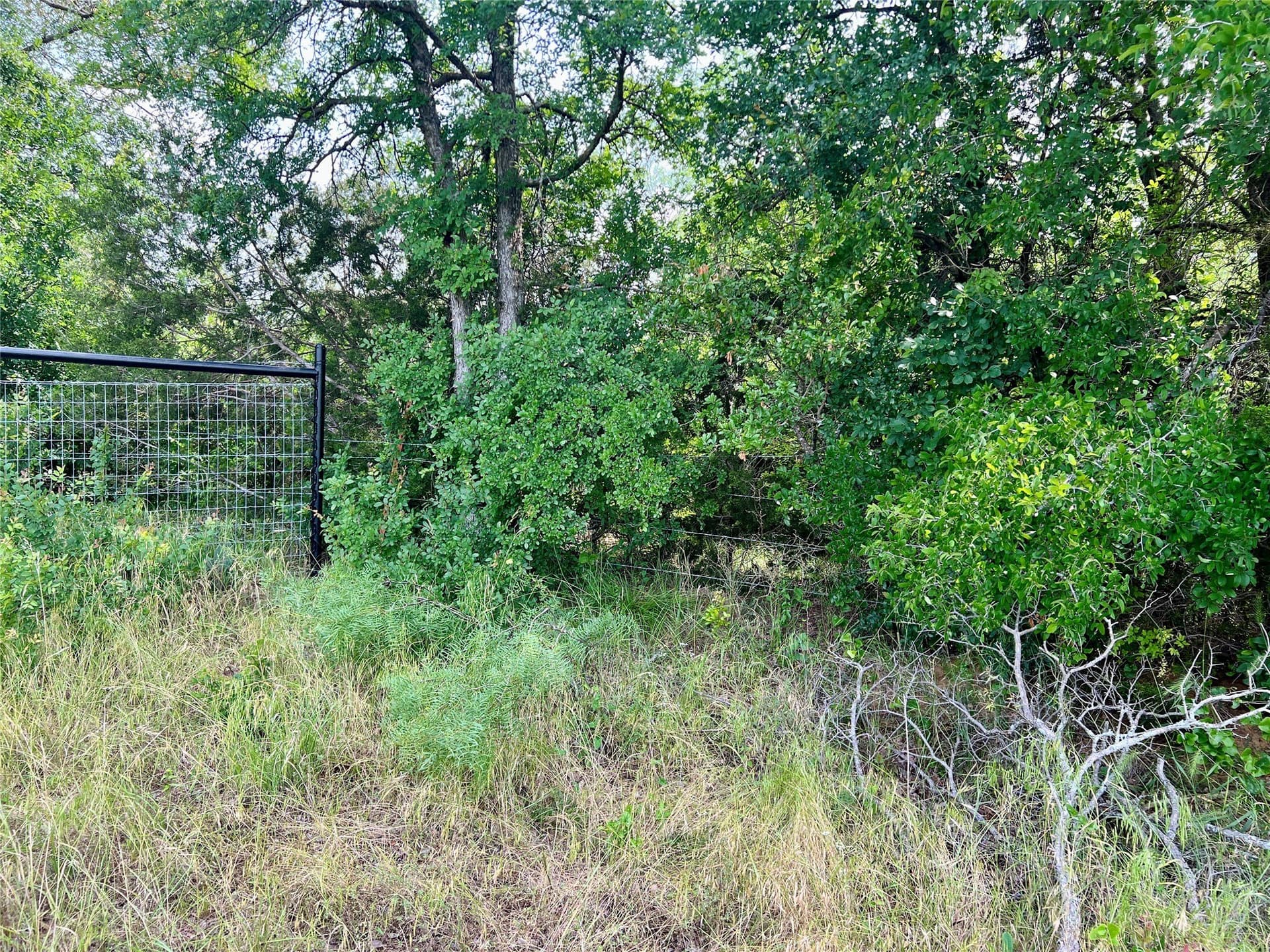 13.97 acres in Young County - photo 21