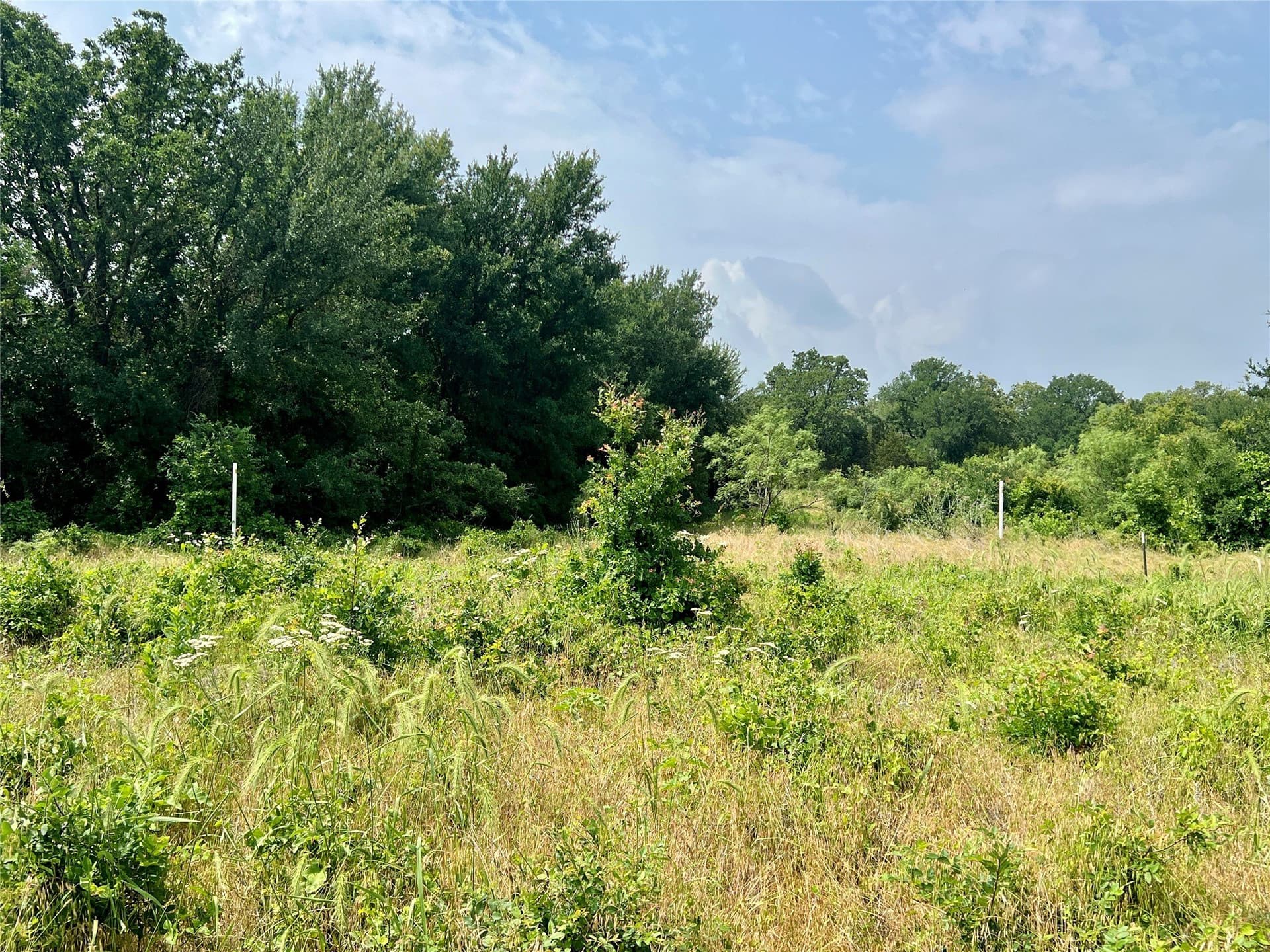 13.97 acres in Young County - photo 25