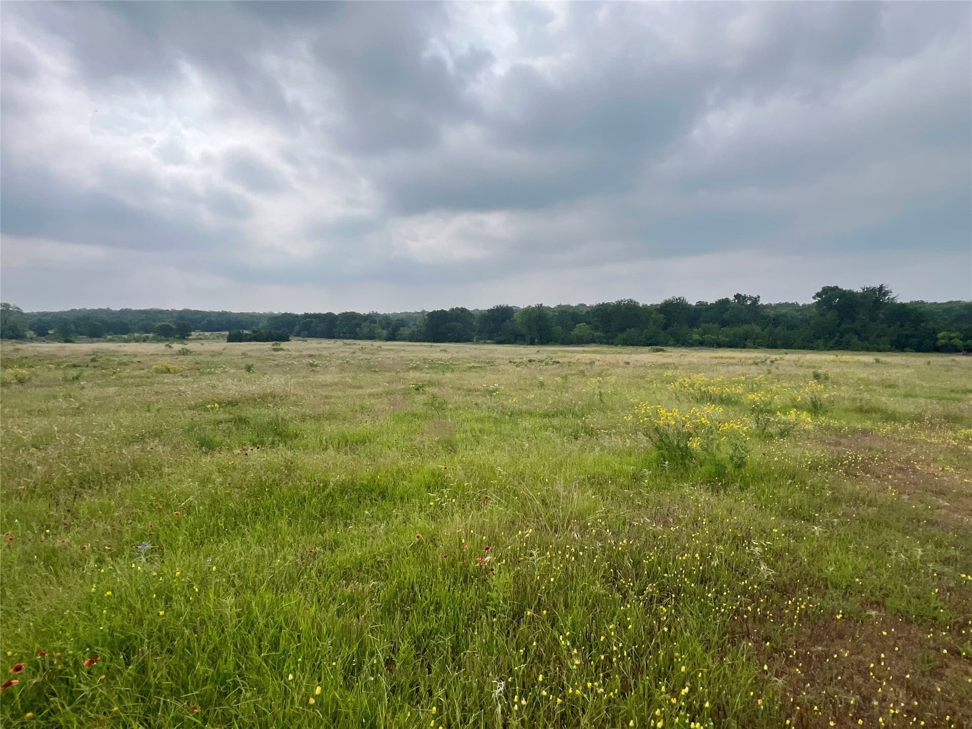 13.97 acres in Young County - photo 8