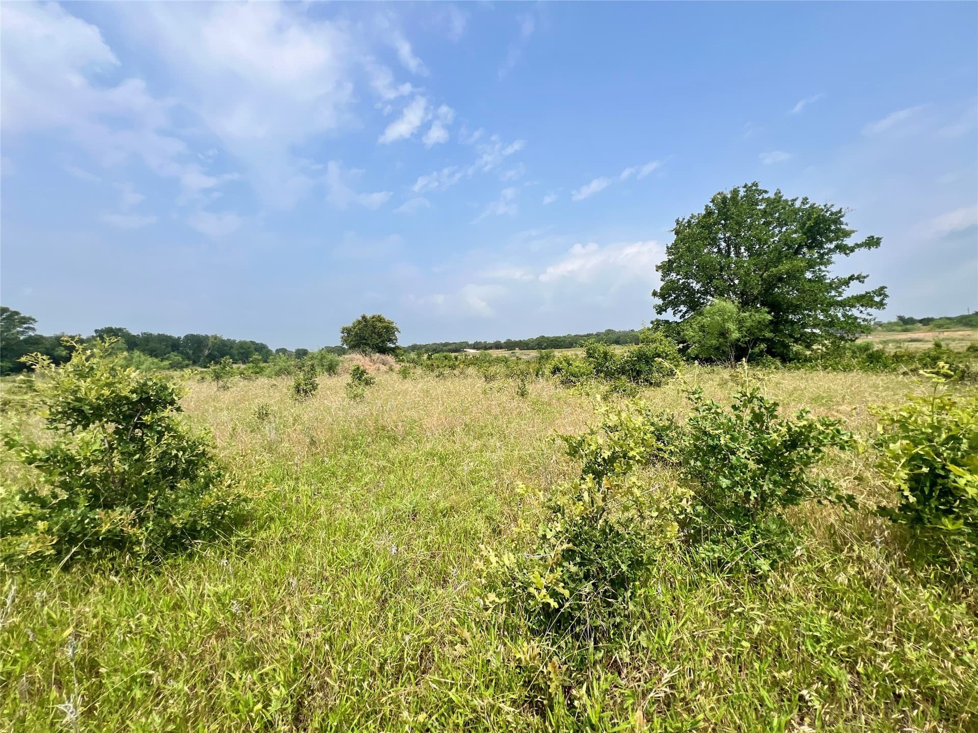 13.97 acres in Young County - photo 11