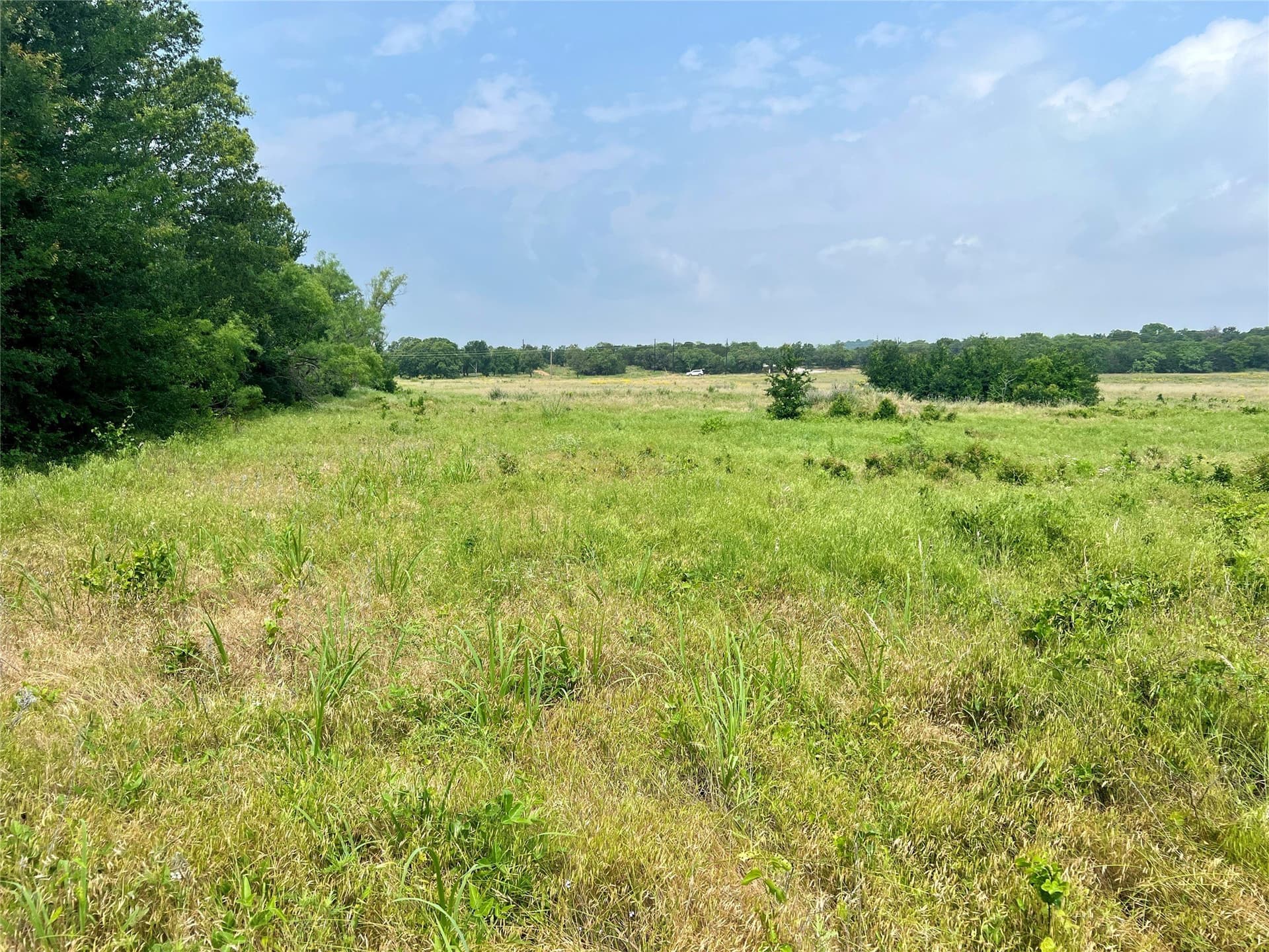 13.97 acres in Young County - photo 28