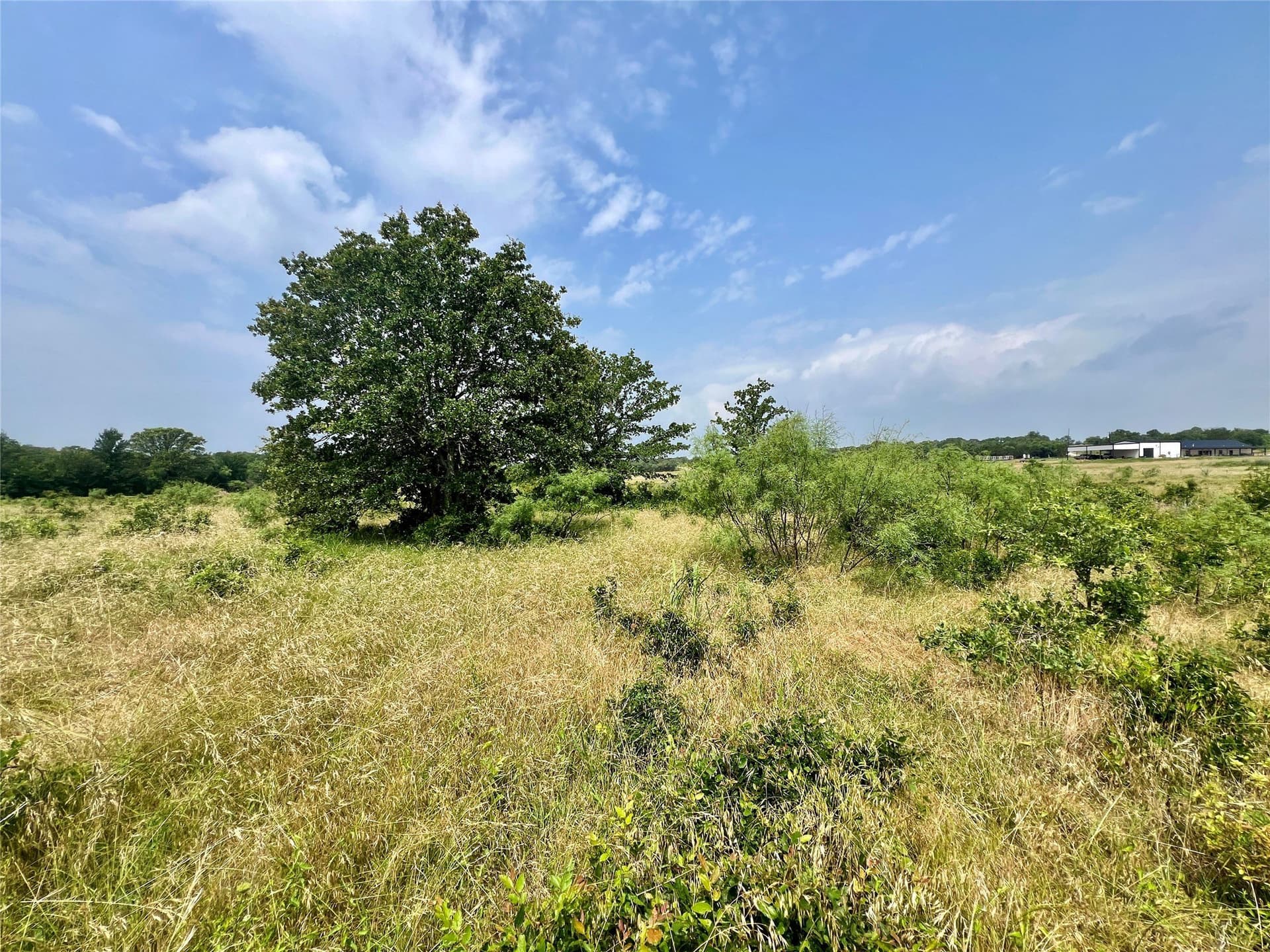 13.97 acres in Young County gallery image 2