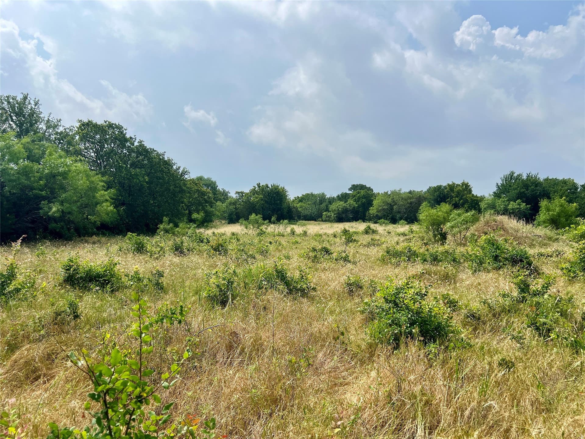 13.97 acres in Young County gallery image 4