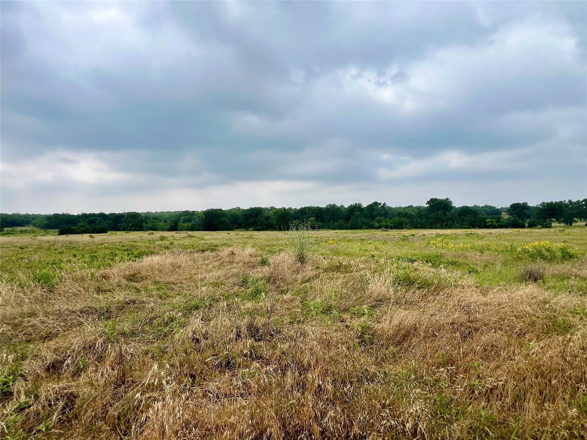 13.97 acres in Young County - photo 13