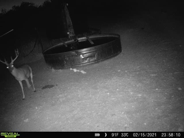 30 acres in Mills County