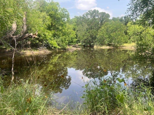 30 acres in Mills County gallery image 2