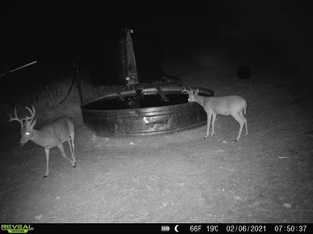 30 acres in Mills County gallery image 3