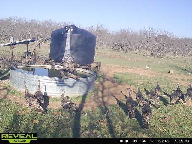 30 acres in Mills County featured view