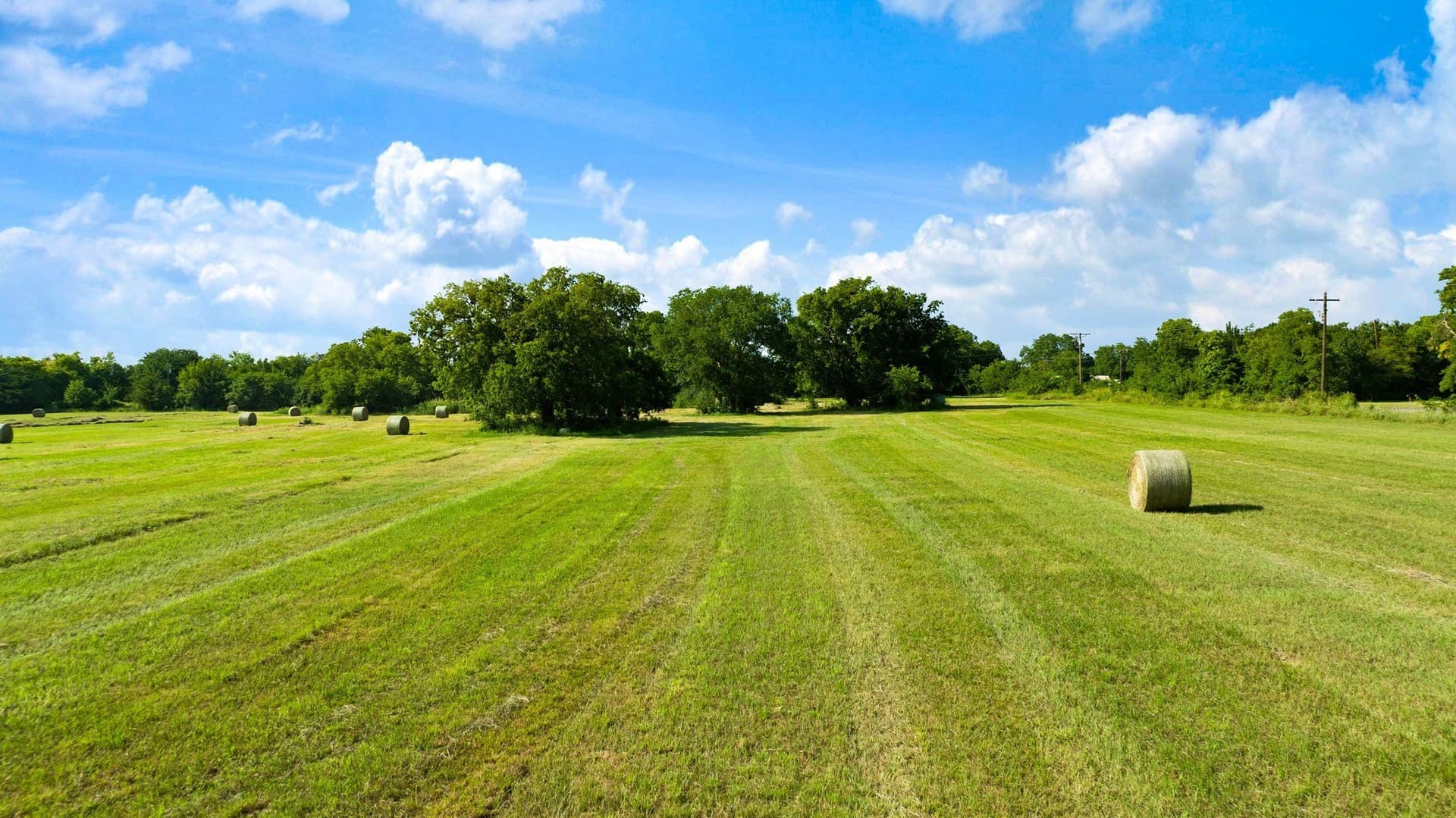 17 acres in Fannin County - photo 8