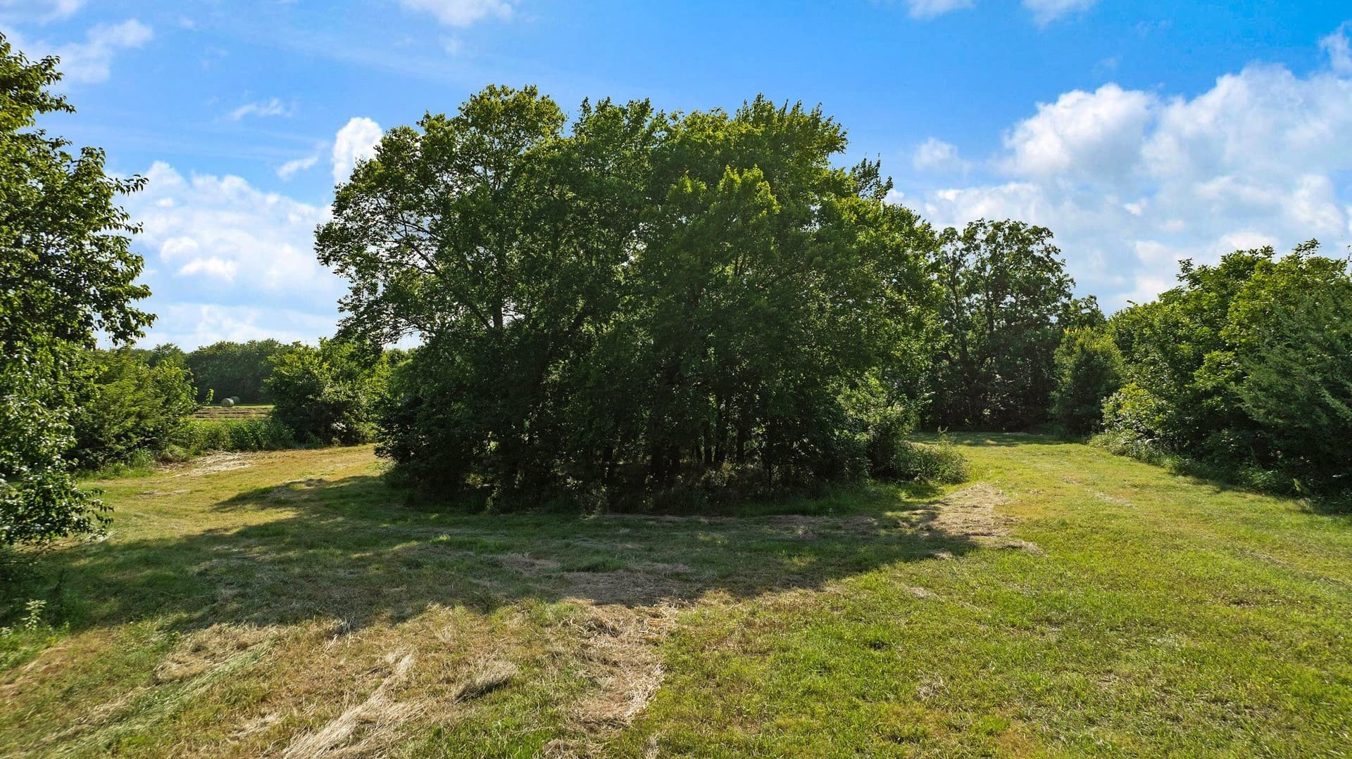 17 acres in Fannin County - photo 12