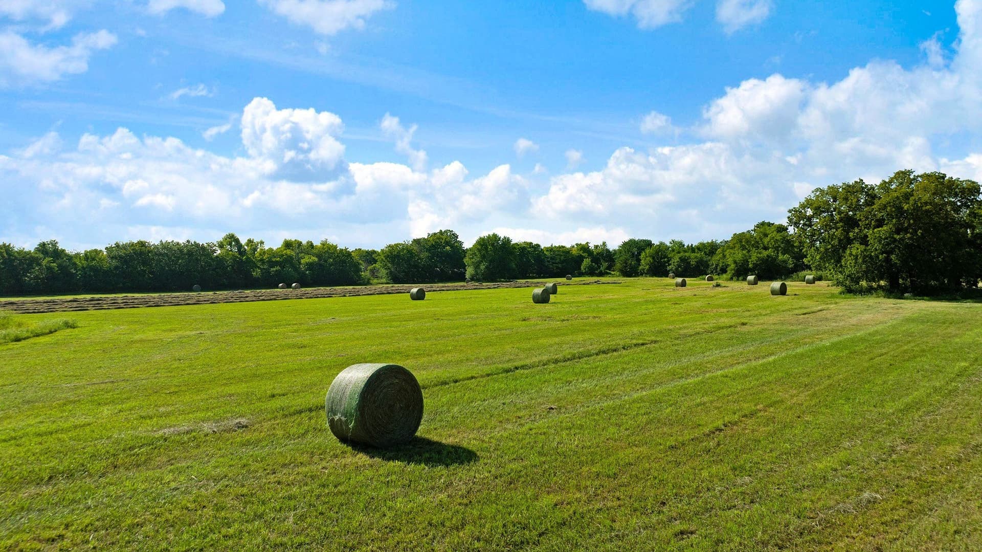 17 acres in Fannin County - photo 9