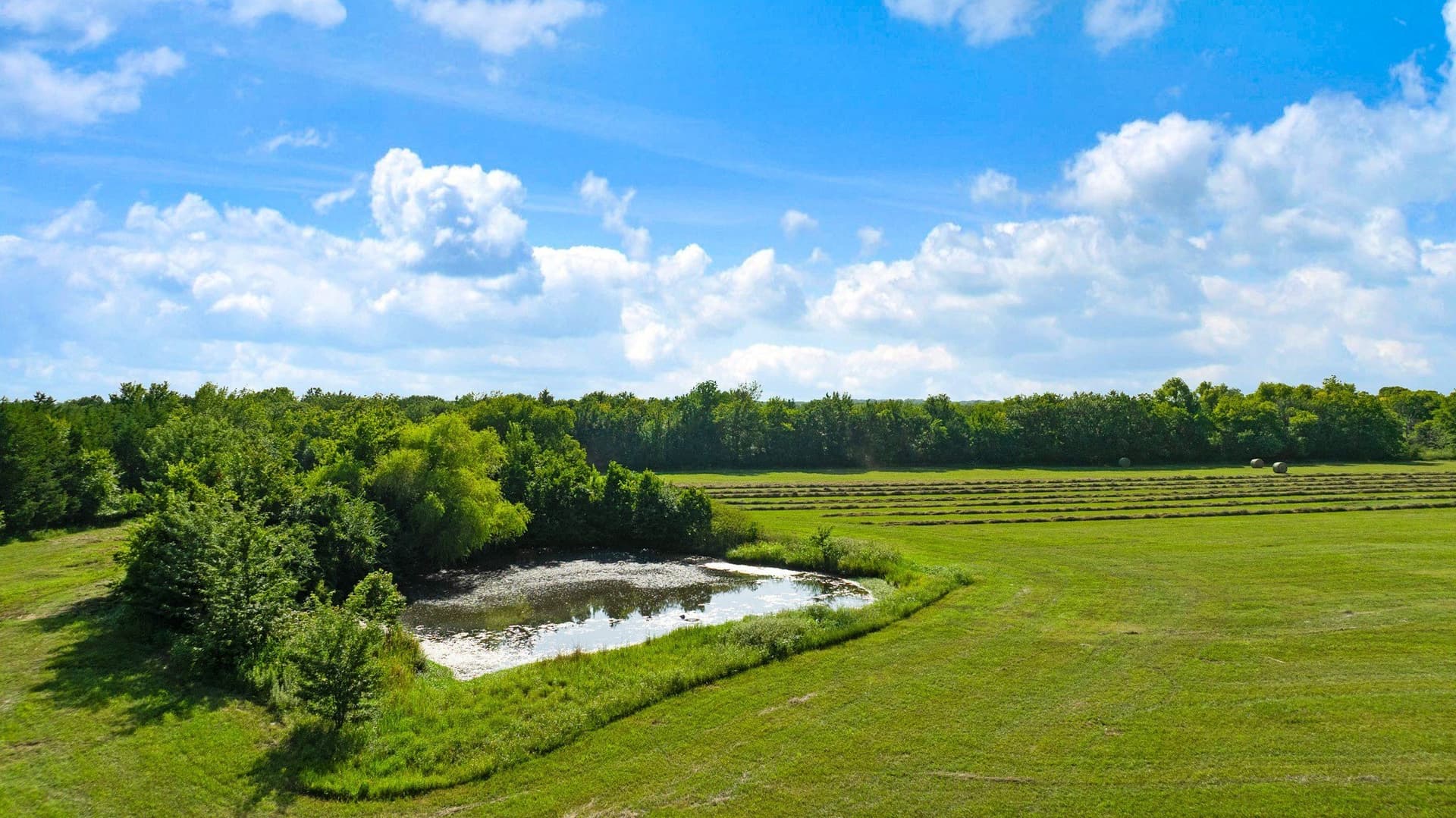 17 acres in Fannin County - photo 7