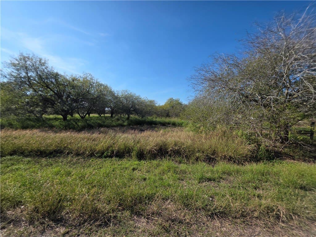 5 acres in San Patricio County gallery image 4