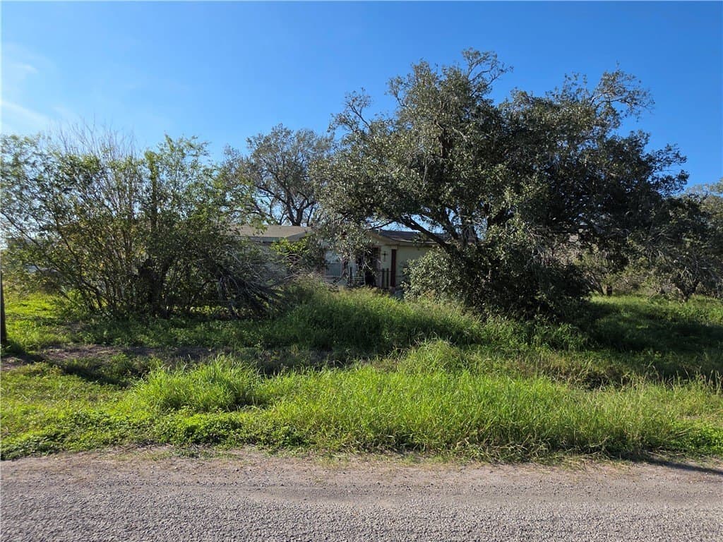 5 acres in San Patricio County gallery image 3
