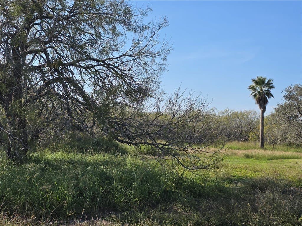 5 acres in San Patricio County featured view