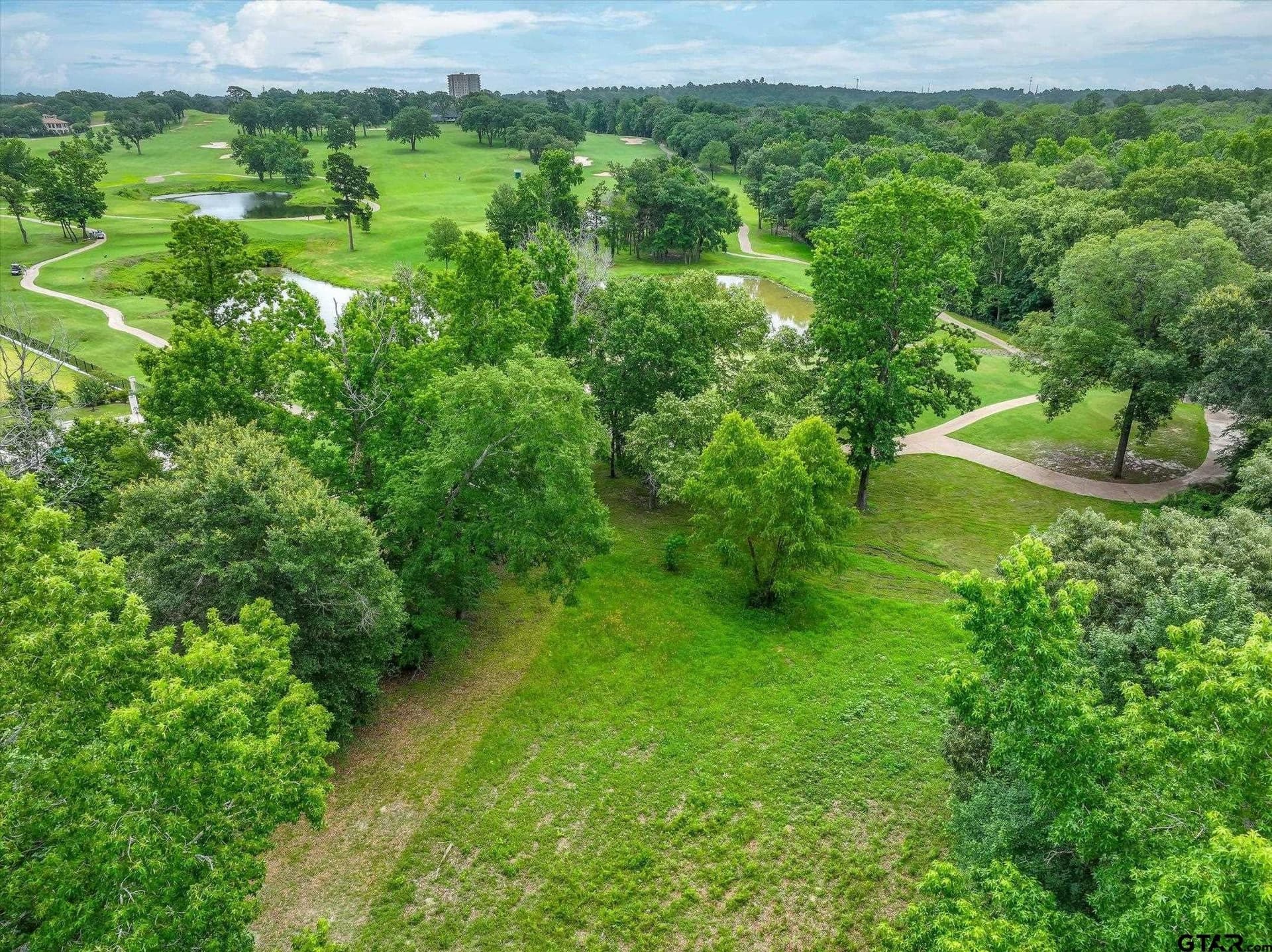 0.62 acres in Smith County - photo 9