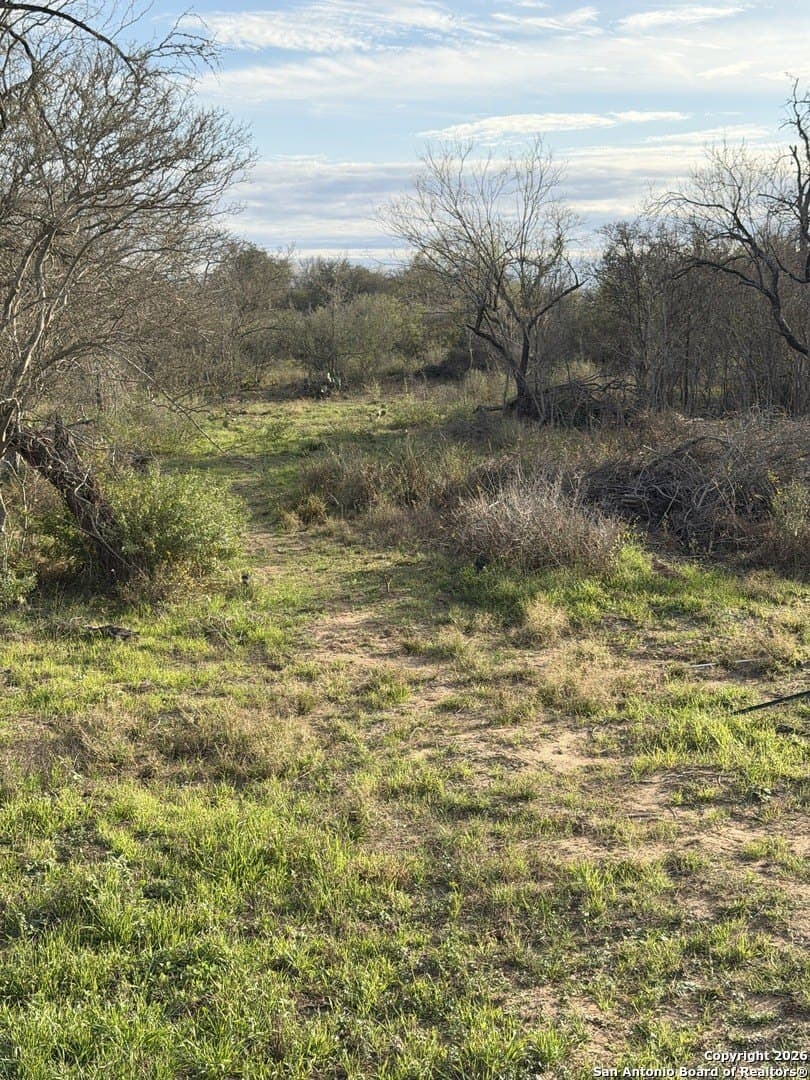 3.42 acres in Bexar County - photo 10
