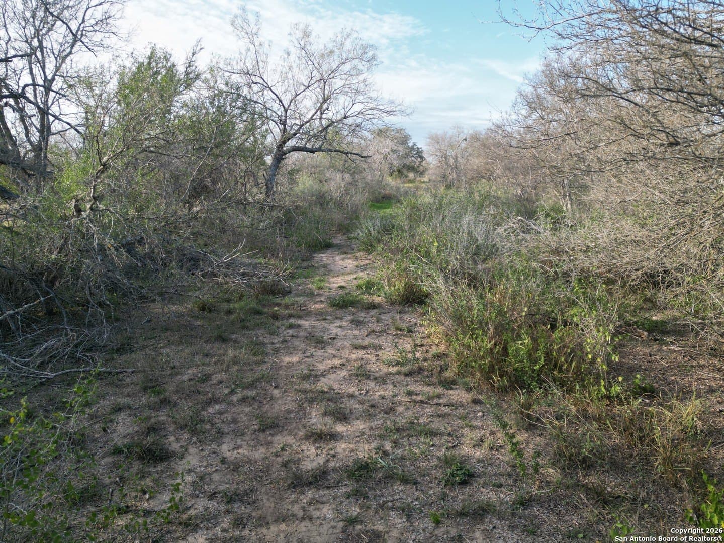 3.42 acres in Bexar County - photo 5