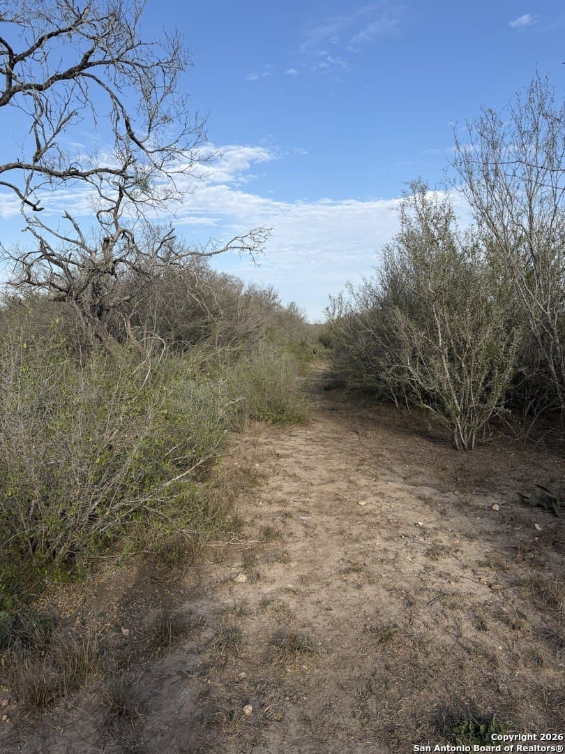 3.42 acres in Bexar County - photo 9
